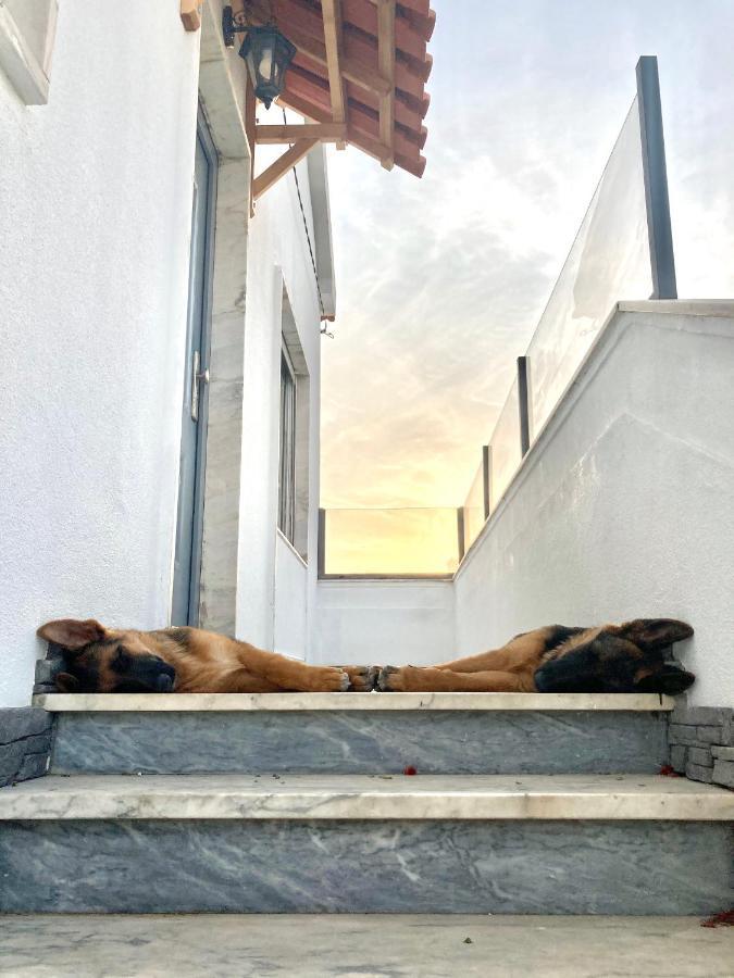 Apartament Toca Do Lobo Charneca  Zewnętrze zdjęcie
