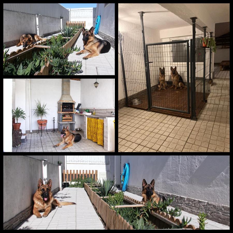 Apartament Toca Do Lobo Charneca  Zewnętrze zdjęcie